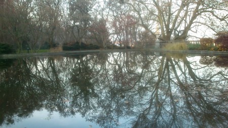 November in Linz (LK)